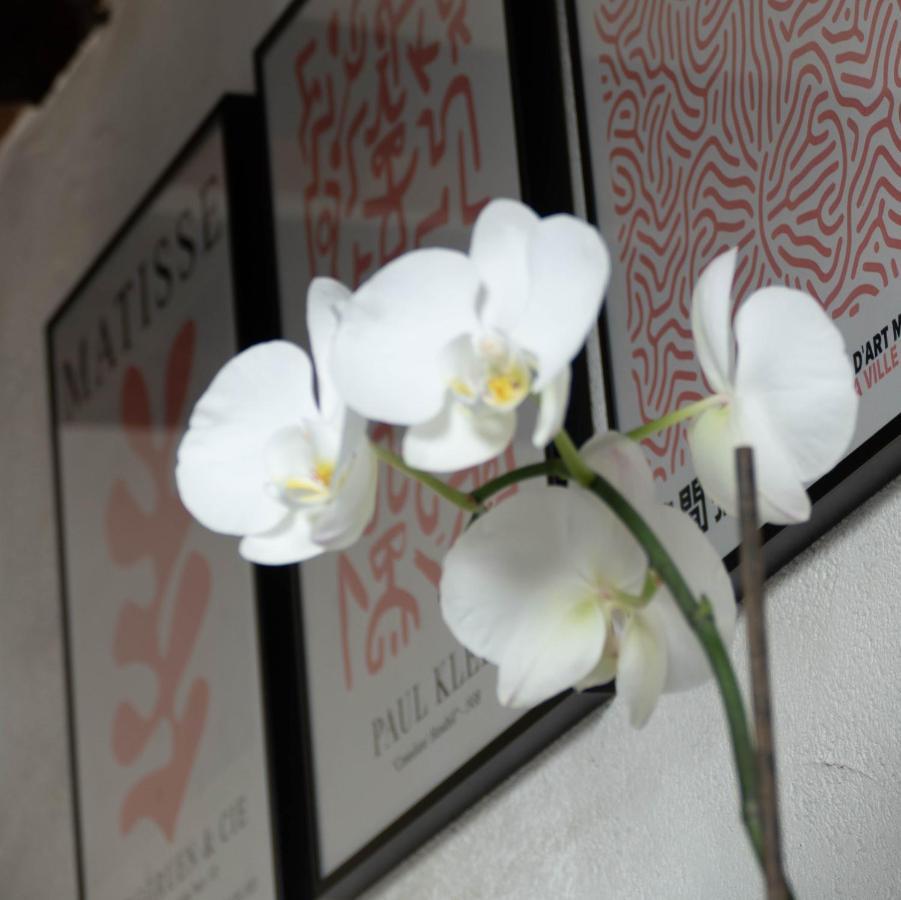 Suite Toussaint - Calme & Authentique Angers Exterior foto