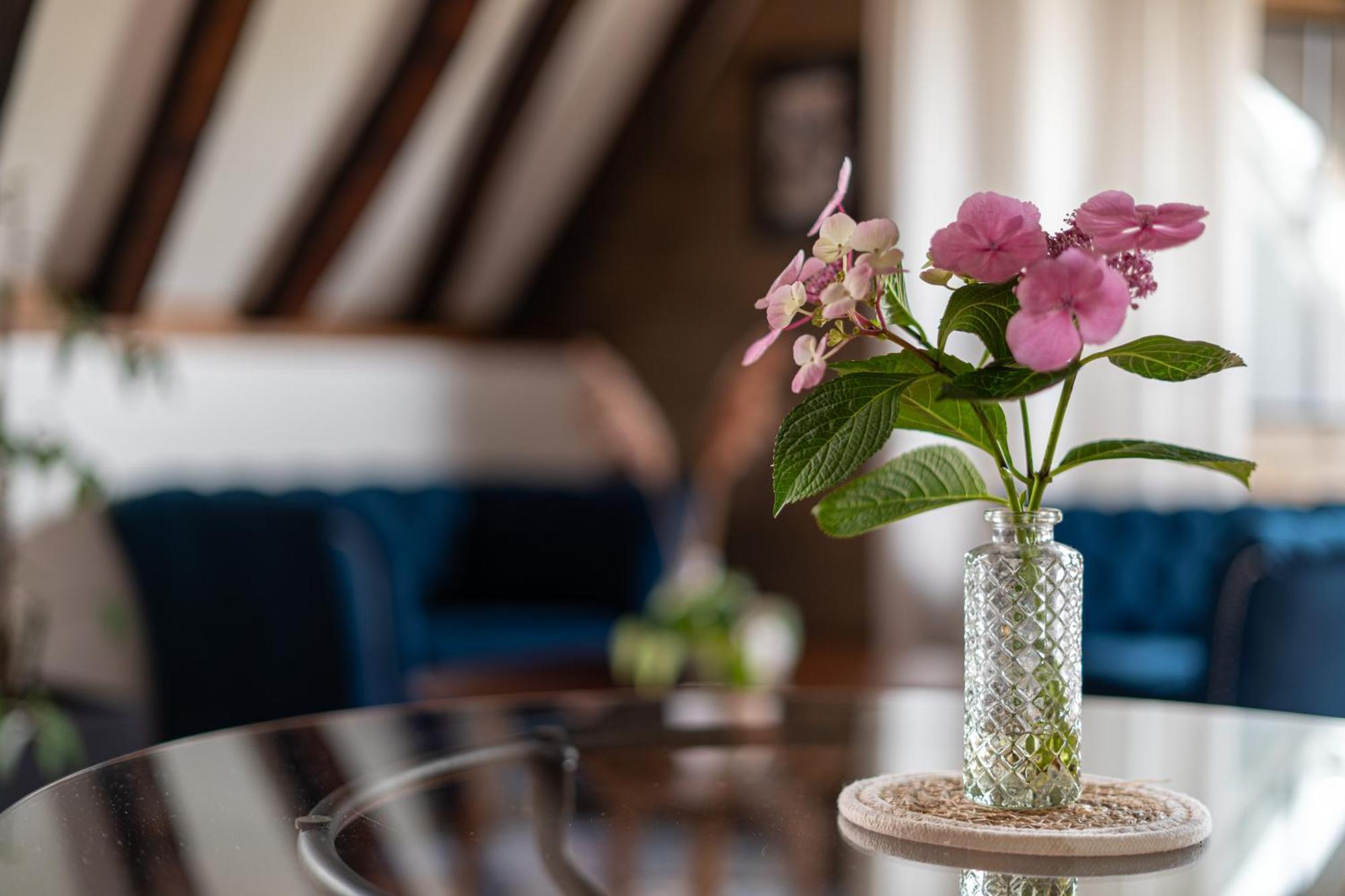 Suite Toussaint - Calme & Authentique Angers Exterior foto